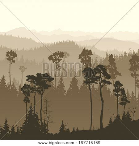 Square illustration of morning misty coniferous forest hills.