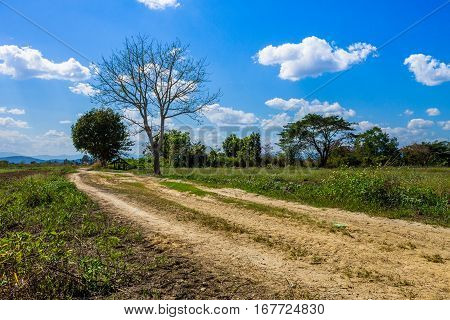 Countrylife In Chiang Mai