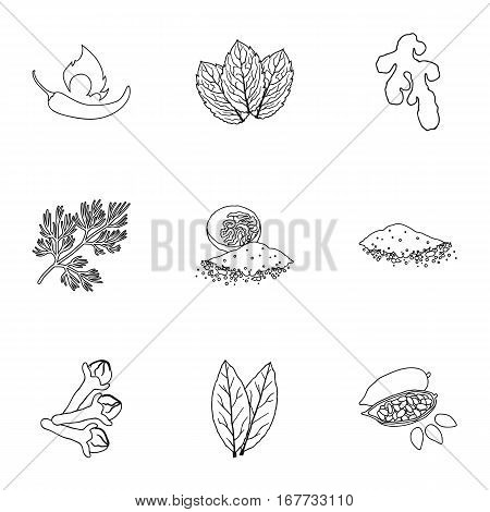 Herb and spices set icons in outline style. Big collection of herb and spices vector symbol stock