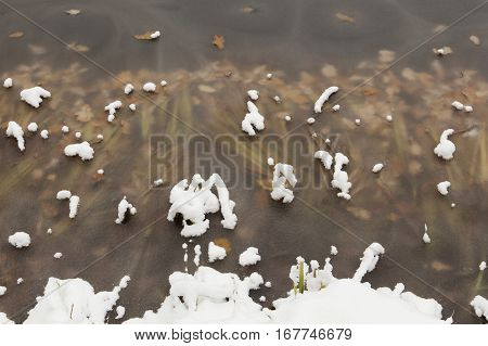 Frozen lake surface with nice texture, a little bit of snow. Leaves and water plants  under the ice.