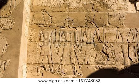 Egyptian ancient temple engravings on the wall