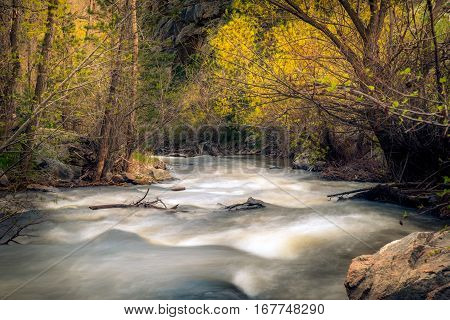 Landscape of a rushing river in the forest.