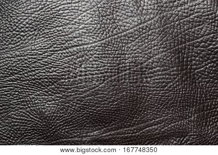 Black leather texture closeup background. Structured background design
