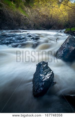 Landscape of a rushing river in the forest.