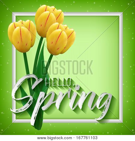 Spring positive postcard for greetings with beginning of spring. Bouquet of realistic yellow tulips in white frame on green sparkling background. Vector illustration