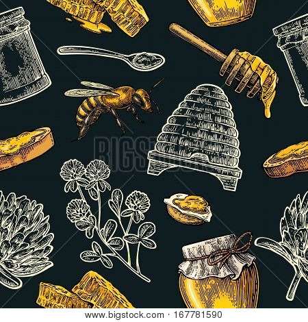 Seamless Pattern with honey bee hive clover spoon cracker bread and honeycomb. Vector vintage color engraved illustration. Isolated on dark background