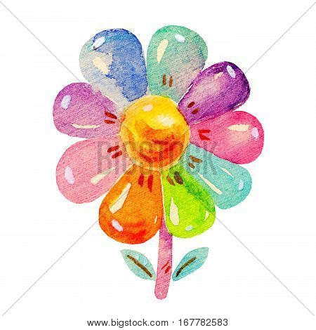 Сolorful Watercolor flower in cartoon childish stile. Hand drawing cute watercolor flower icon illustration isolated on white background.