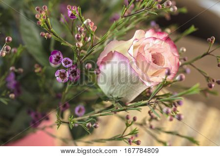 Bouquet of white and pink Roses and Waxflower for a holiday gift