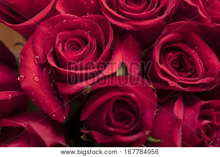 Bouquet of Red Roses for Mother's Day or Valentine's as a loving gift