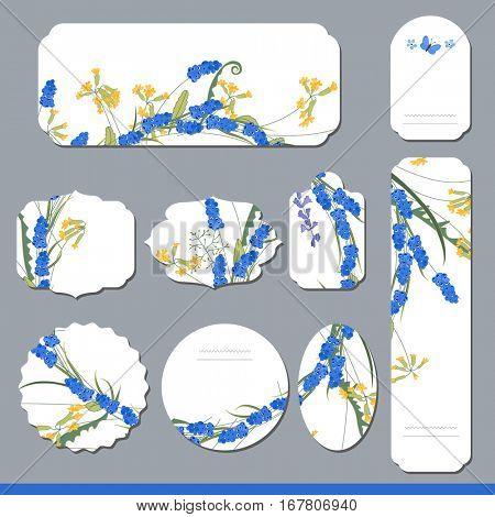 Floral spring templates with cute bunches of muscari. For romantic and easter design, announcements, greeting cards, posters, advertisement.