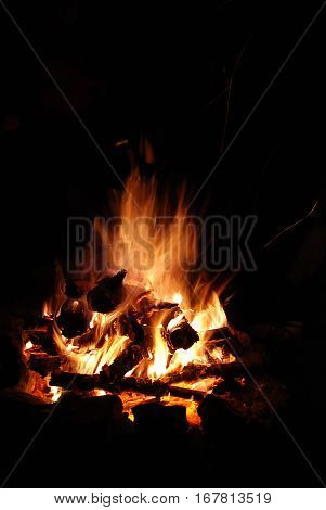 Burning logs in orange red bonfire at night