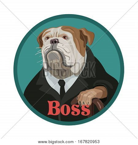 The dog is a Bulldog like the boss strictly looks like the head of a subordinate with highly rank the wise and careful