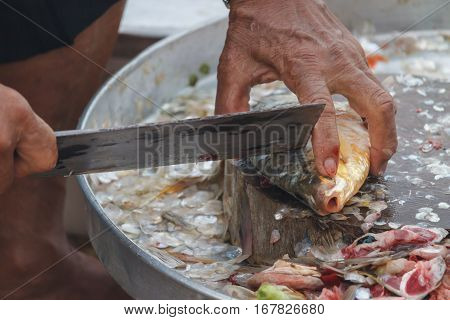 Preparing a fish fillet in Thailand market