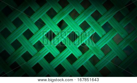 Wallpaper green mesh. Presentation style macro full color.