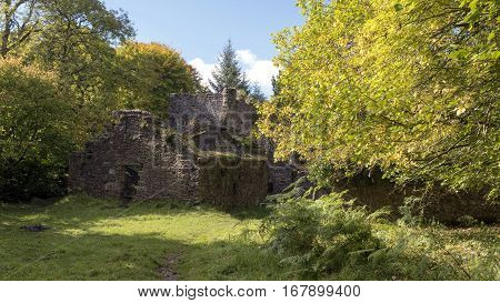 Romantic ruins of Carrey's Castle near Clonmel in county TipperaryIreland