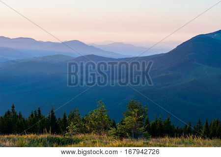 Landscape with fog in mountains and rows of trees in Carpathian mountains