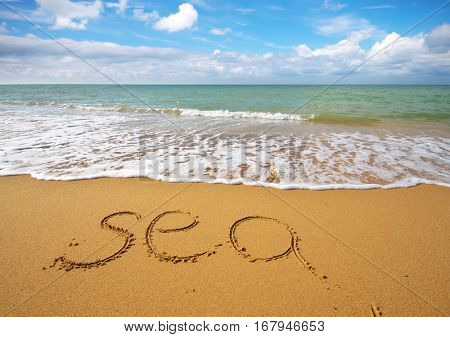 Beautisul seascape nature composition. Sea word on the sea shore.