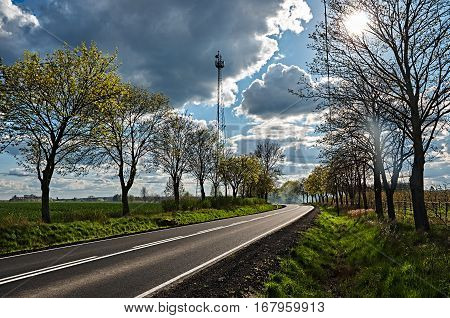 The road between the trees under the blue sky with white clouds.