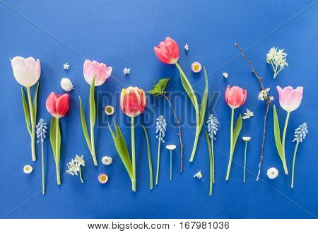 Variety of colorful spring flowers on blue background