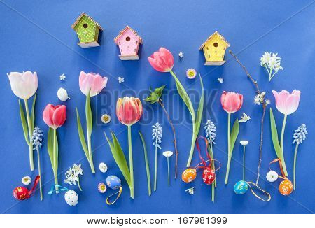 Variety of colorful spring flowers on blue background