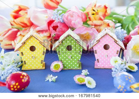 Little colorful birdhouses in front of spring flowers