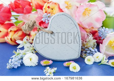 Variety of colorful spring flowers on blue background