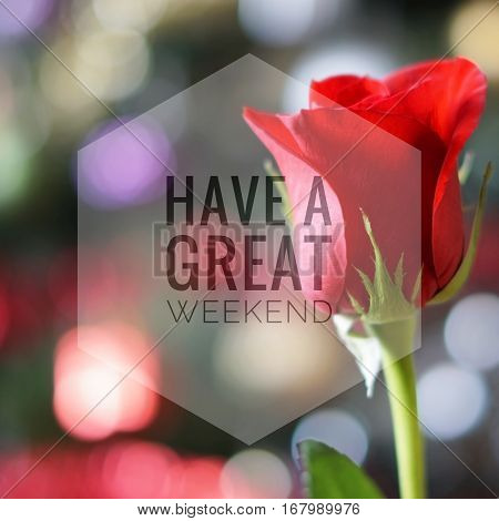 Have a great weekend words on red rose bokeh background