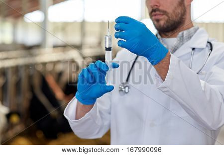 agriculture industry, farming, medicine, animal vaccination and people concept - veterinarian or doctor hand with vaccine in syringe at cowshed on dairy farm