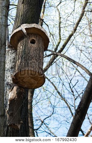 Wooden birdhouse made with your own hands mounted on wood