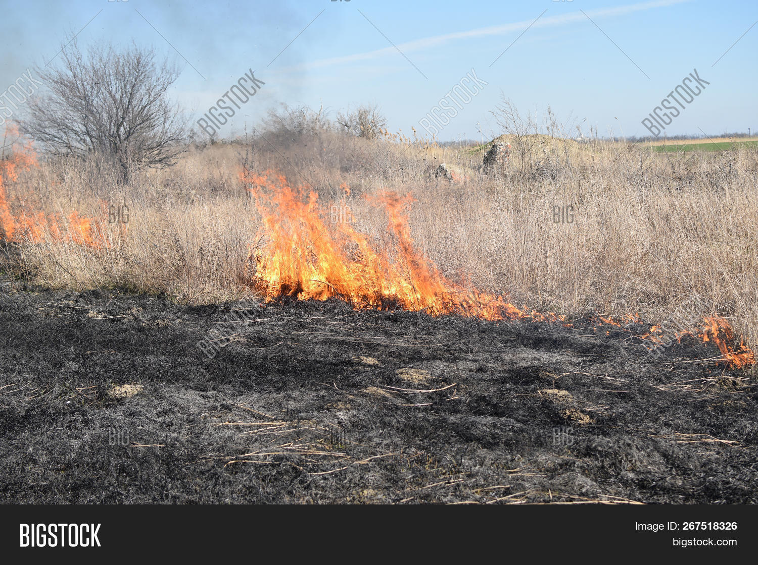 Burning Dry Grass Image & Photo (Free Trial) Bigstock