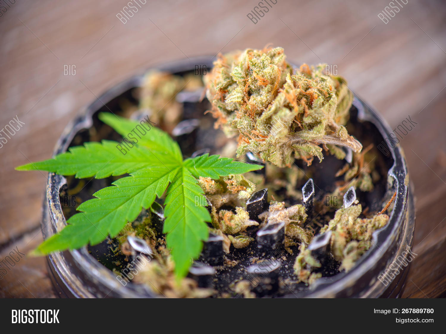 Cannabis Nug Grinder Image & Photo (Free Trial) Bigstock