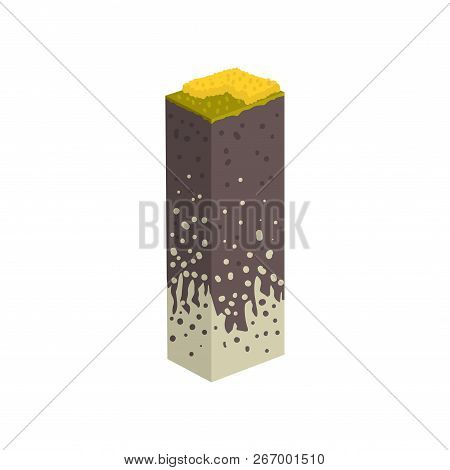 Geological Section, Stratigraphic Column With Cut Of Soil With A Grass, Roots, Layers Of The Ground 