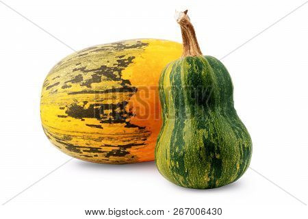 Spotted Autumn Pumpkin On A White Background