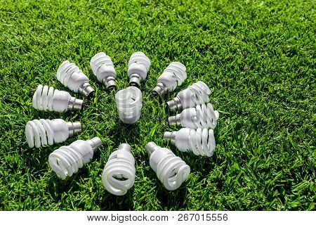 Energy Saving Light Bulbs On Grass Forming Flower. Green Energy Concept