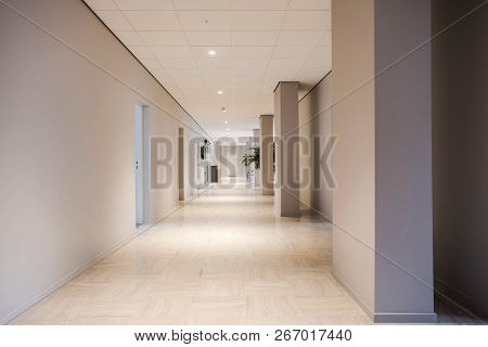 Long Office Hallway Modern Design, Empty And Clean Interior White Walls
