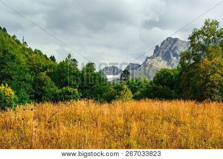 Landscape - A Cozy Glade With Yellow Autumn Grass, Surrounded By Green Trees, With Mountain Peaks In