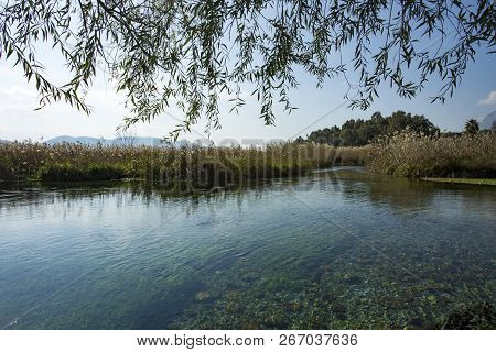 Azmak River, Akyaka, Mugla, Turkey. Nature Composition.