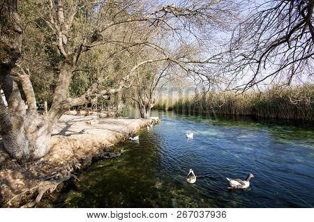 Azmak River, Akyaka, Mugla, Turkey. Nature Composition.