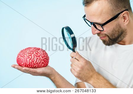 Adult Nerd Man Wearing Eyeglasses Looking At Human Brain Model. Thinking And Intelligence Conept