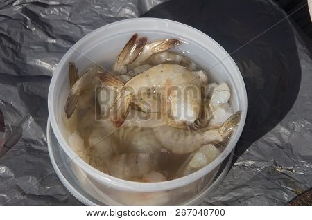 Fishing With Shrimp As Bait