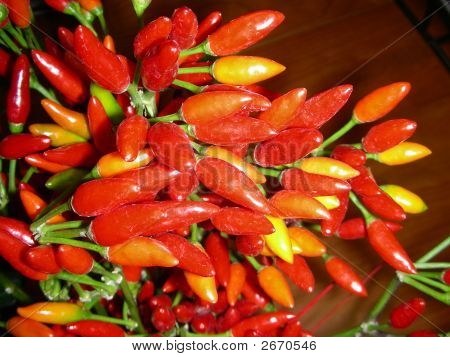 Chili peber