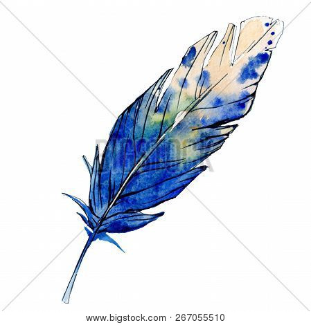 Blue White Feater. Watercolor Bird Feather From Wing Isolated. Aquarelle Feather For Texture. Backgr