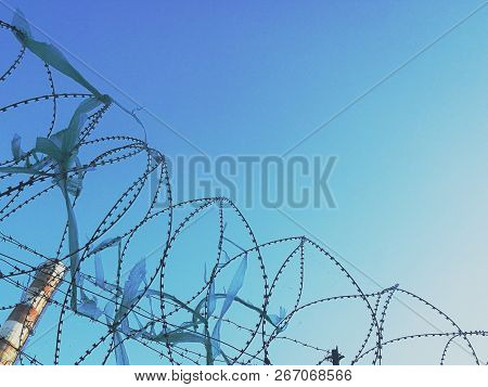 Barbed Wire On The Background Of The Industrial Zone