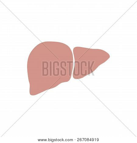 Liver Icon In Trendy Flat Style Isolated On White Background. Symbol For Your Web Site Design, Logo,