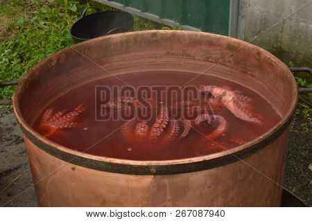 Copper Pot With Octopus Cooking Inside In The Becerrea Octopus Fair. Kitchen, Food, Travel, Vacation