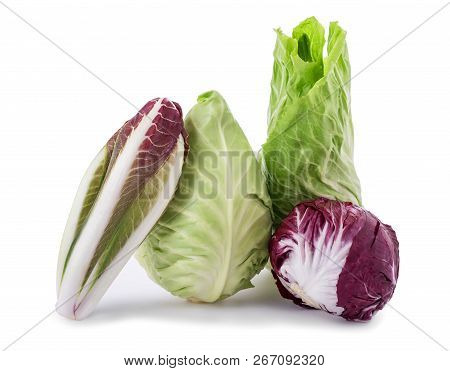 Chicory Cabbage Radicchio End Salade Isolated On White