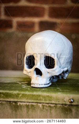 Scary Jawless Halloween Skull With Brick Wall Background