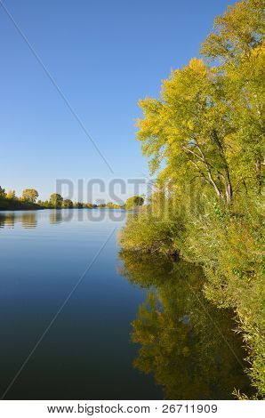 Herbstliche Landschaft des Sees und helle Bäume