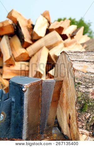 Closeup Of Blade Of Wood Splitter With Knife About To Cut Through A Block Of Hard Maple With A Heap 