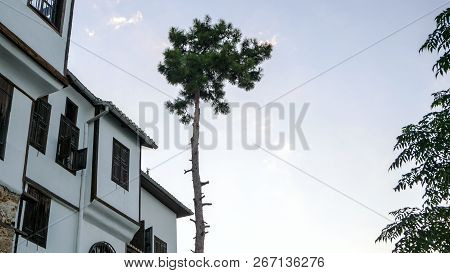 Green Trees Near The Stone House Of Alanya, Turkey. Trees And Old Buildings. Summer Concept And Copy
